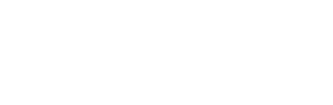 ELSA Business Logo White