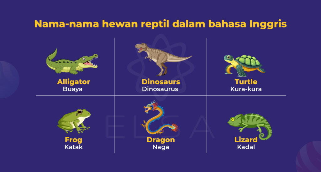nama nama hewan dalam bahasa inggris