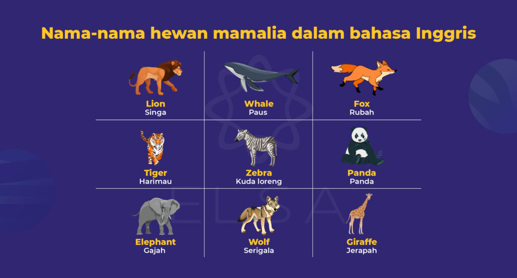 Nama-nama hewan amfibi dalam bahasa Inggris 