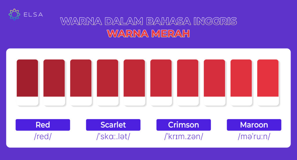 Bahasa Inggris warna merah dan jenisnya
