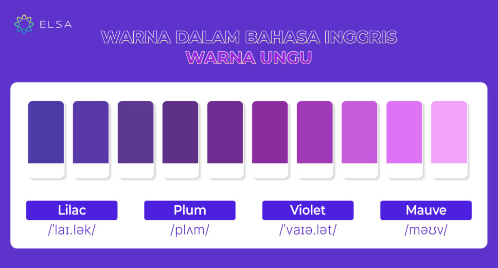 Bahasa Inggris warna ungu dan jenisnya
